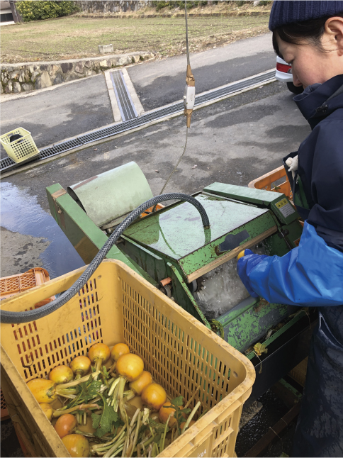 83%OFF!】 西沢KN-U1500R 野菜洗浄機 にんじん 芋 洗い機 100V 直接引き取り