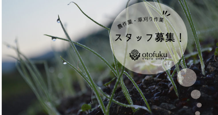 2026年度、農スタッフ募集!in京都大原